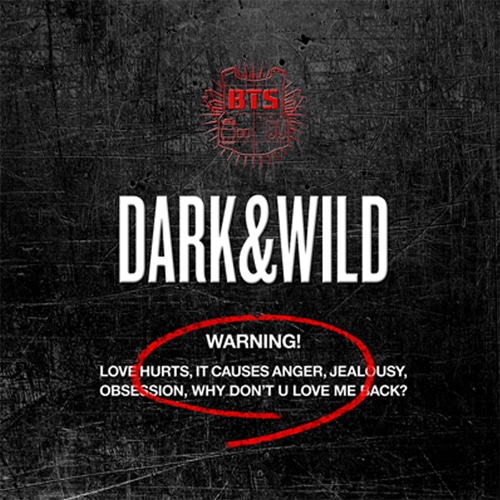 bts-dark-&-wild bts-dark-&-wild