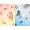 bts-hyyh-pt-2-in-the-mood-for-love-pt-2