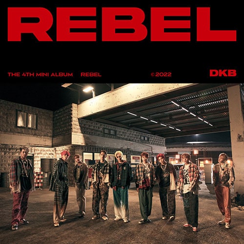 dkb-4th-mini-rebel dkb-4th-mini-rebel