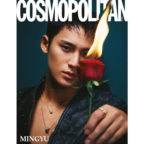 cosmopolitan-dec-cover-seventeen-d-type cosmopolitan-dec-cover-seventeen-d-type