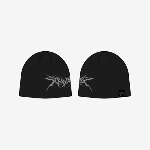 stray-kids-beanie-dominate-seoul stray-kids-beanie-dominate-seoul