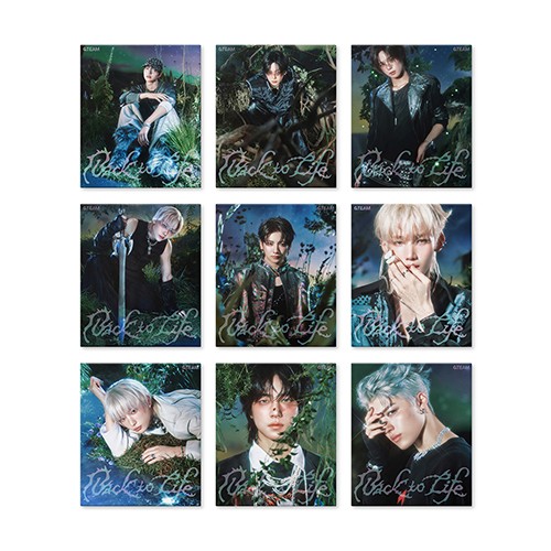 &team-kr-1st-mini-album-back-to-life-roar-ver &team-kr-1st-mini-album-back-to-life-roar-ver