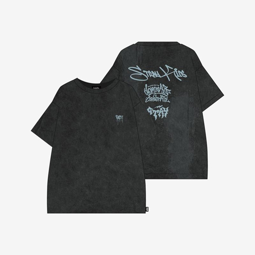 stray-kids-dominate-celebrate-t-shirt stray-kids-dominate-celebrate-t-shirt
