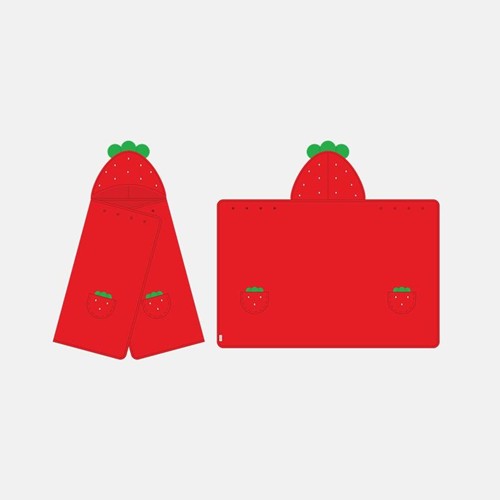 twice-2025-twice-fanmeeting-10ve-universe-md-chaeyoung-strawberry-blanket